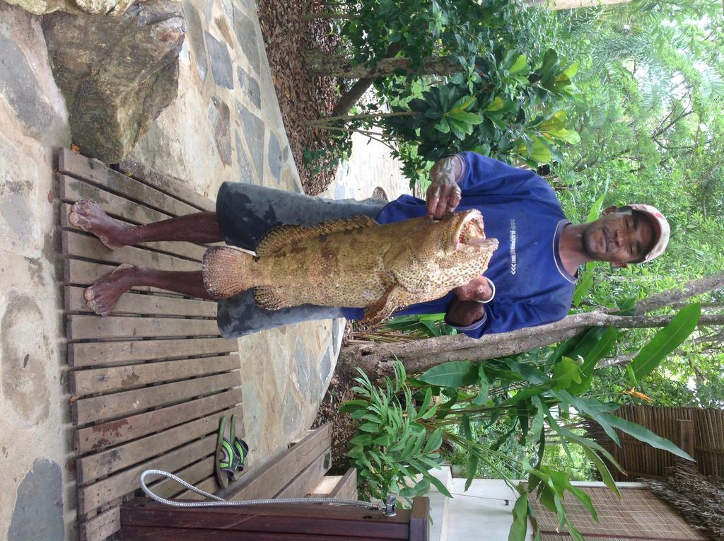 Coco Komba Lodge Nosy Komba Esterno foto